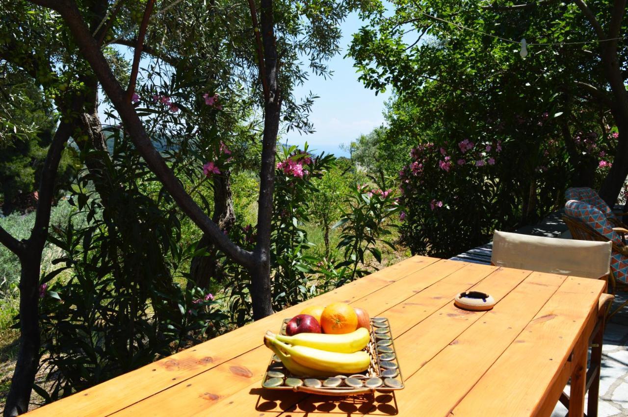 Alikias Country House Panormos  Eksteriør billede