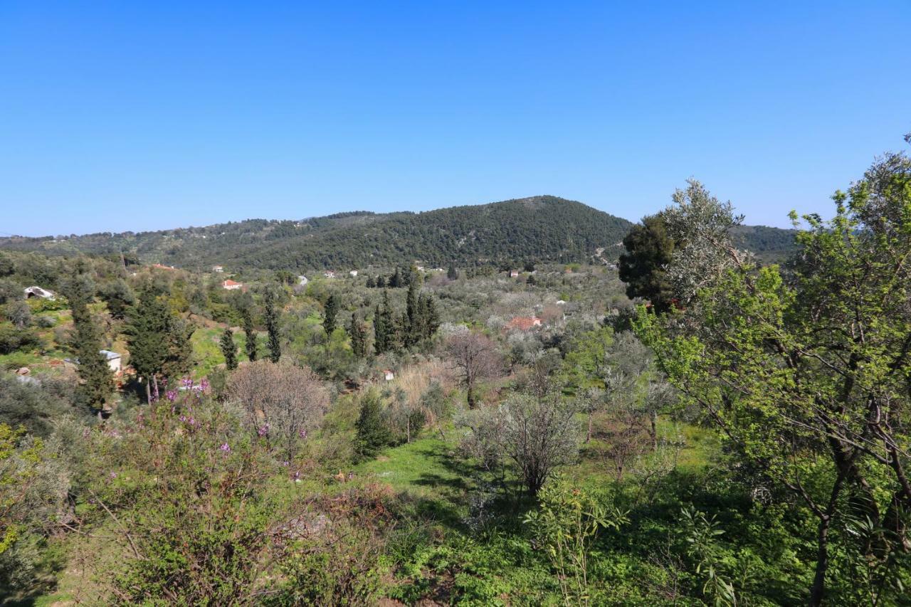 Alikias Country House Panormos  Eksteriør billede